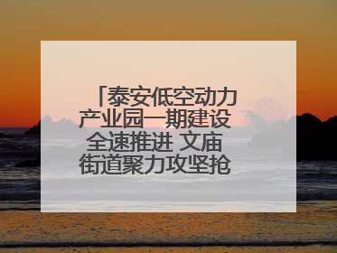 泰安低空动力产业园一期建设全速推进 文庙街道聚力攻坚抢抓“进度条”