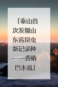泰山首次发现山东省昆虫新记录种——香椿巴木虱
