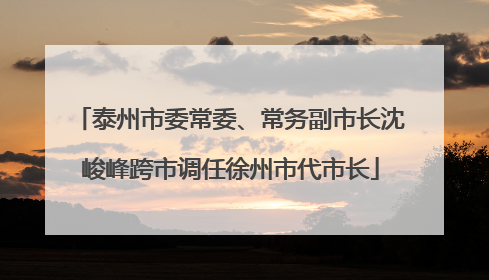 泰州市委常委、常务副市长沈峻峰跨市调任徐州市代市长