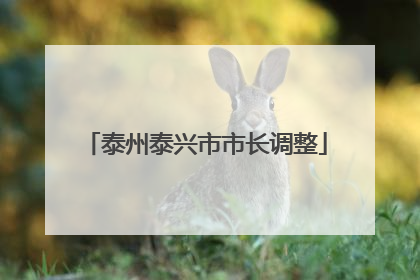 泰州泰兴市市长调整