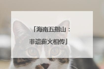 海南五指山：非遗薪火相传