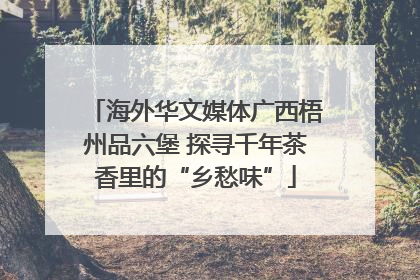 海外华文媒体广西梧州品六堡 探寻千年茶香里的“乡愁味”