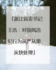 浙江省委书记王浩：对顶风违纪行为从严从重从快处理