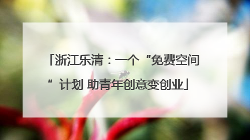 浙江乐清：一个“免费空间”计划 助青年创意变创业