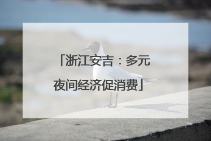 浙江安吉：多元夜间经济促消费