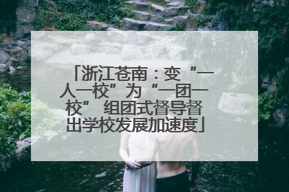 浙江苍南：变“一人一校”为“一团一校” 组团式督导督出学校发展加速度
