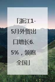 浙江1-5月外贸出口增长6.5%，领跑全国
