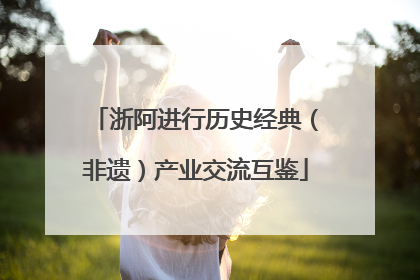 浙阿进行历史经典（非遗）产业交流互鉴