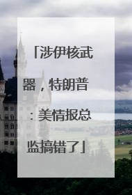 涉伊核武器，特朗普：美情报总监搞错了