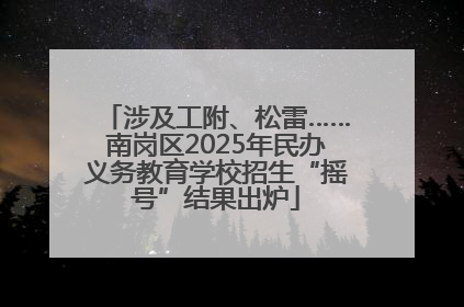 涉及工附、松雷……南岗区2025年民办义务教育学校招生“摇号”结果出炉