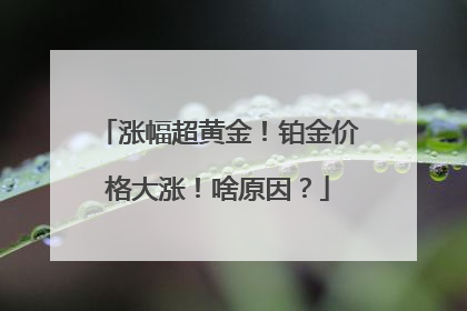 涨幅超黄金！铂金价格大涨！啥原因？