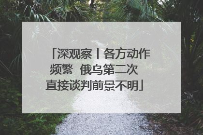 深观察丨各方动作频繁  俄乌第二次直接谈判前景不明