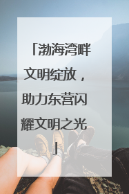 渤海湾畔文明绽放，助力东营闪耀文明之光