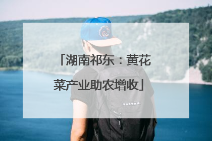 湖南祁东：黄花菜产业助农增收