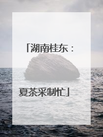 湖南桂东：夏茶采制忙
