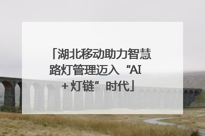 湖北移动助力智慧路灯管理迈入“AI＋灯链”时代