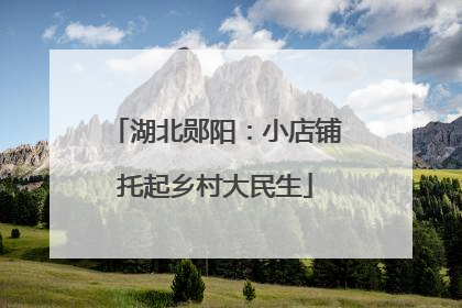 湖北郧阳：小店铺托起乡村大民生