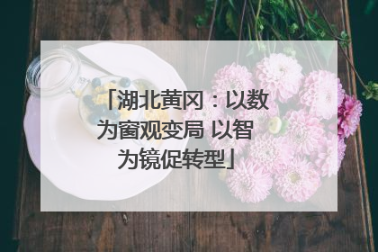 湖北黄冈：以数为窗观变局 以智为镜促转型