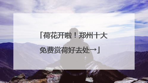 荷花开啦！郑州十大免费赏荷好去处→