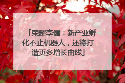 荣耀李健：新产业孵化不止机器人，还将打造更多增长曲线