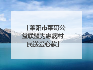 莱阳市菜哥公益联盟为患病村民送爱心款