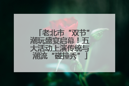 老北市“双节”潮玩盛宴启幕！五大活动上演传统与潮流“碰撞秀”
