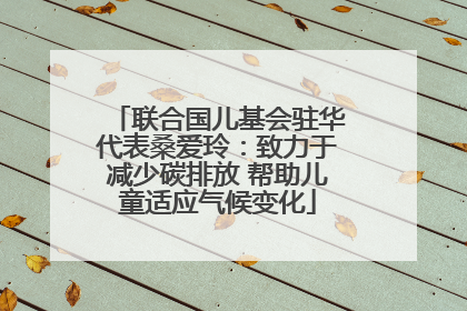 联合国儿基会驻华代表桑爱玲：致力于减少碳排放 帮助儿童适应气候变化