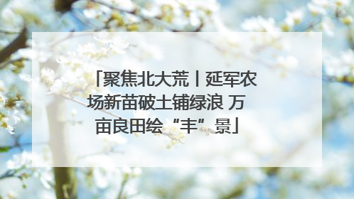 聚焦北大荒丨延军农场新苗破土铺绿浪 万亩良田绘“丰”景