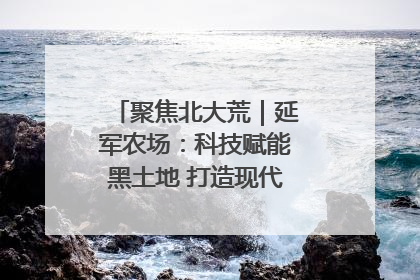 聚焦北大荒｜延军农场：科技赋能黑土地 打造现代农业“智慧芯”