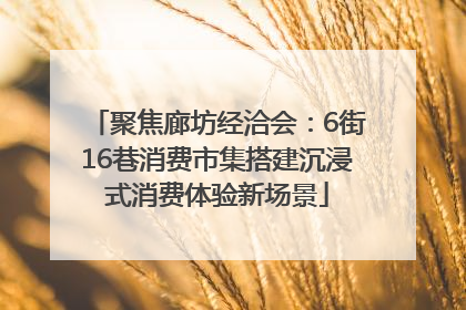 聚焦廊坊经洽会：6街16巷消费市集搭建沉浸式消费体验新场景