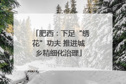 肥西：下足“绣花”功夫 推进城乡精细化治理