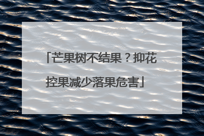 芒果树不结果？抑花控果减少落果危害