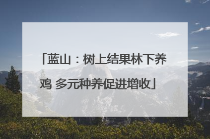 蓝山：树上结果林下养鸡 多元种养促进增收