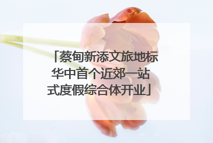蔡甸新添文旅地标 华中首个近郊一站式度假综合体开业
