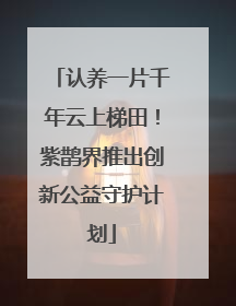 认养一片千年云上梯田！紫鹊界推出创新公益守护计划