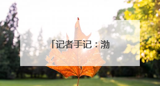 记者手记：渤海湾畔盐碱滩变身“新粮仓”