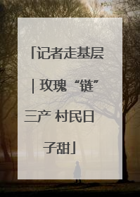 记者走基层｜玫瑰“链”三产 村民日子甜