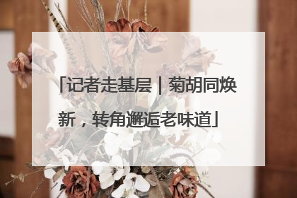 记者走基层｜菊胡同焕新，转角邂逅老味道