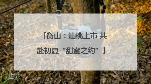 衡山：油桃上市 共赴初夏“甜蜜之约”