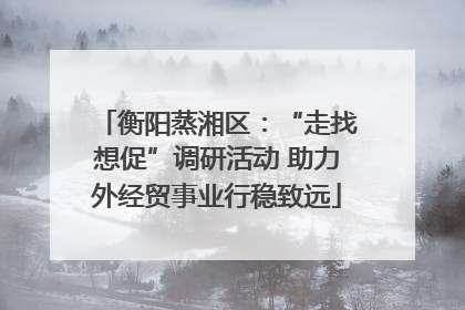 衡阳蒸湘区：“走找想促”调研活动 助力外经贸事业行稳致远