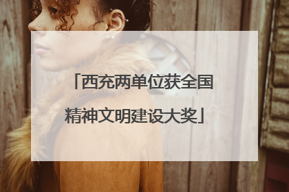 西充两单位获全国精神文明建设大奖