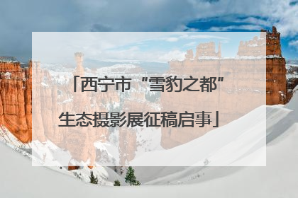 西宁市“雪豹之都”生态摄影展征稿启事