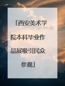 西安美术学院本科毕业作品展吸引民众参观