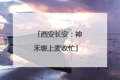 西安长安：神禾塬上麦收忙