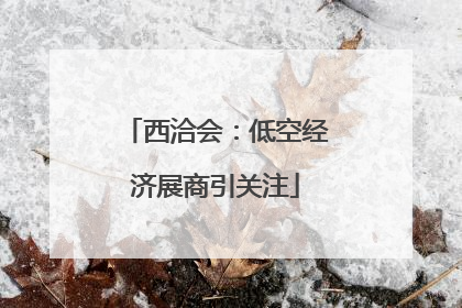 西洽会：低空经济展商引关注