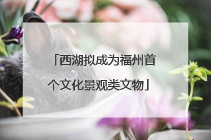 西湖拟成为福州首个文化景观类文物