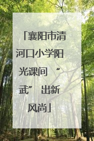 襄阳市清河口小学阳光课间 “武” 出新风尚