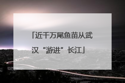 近千万尾鱼苗从武汉“游进”长江