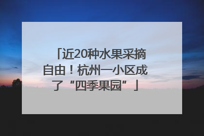 近20种水果采摘自由！杭州一小区成了“四季果园”