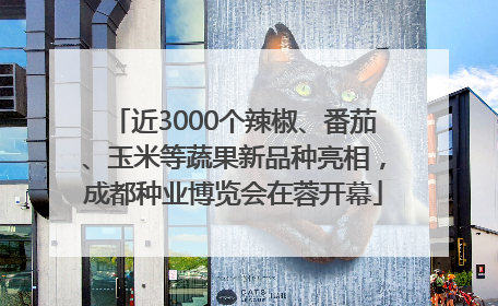 近3000个辣椒、番茄、玉米等蔬果新品种亮相，成都种业博览会在蓉开幕